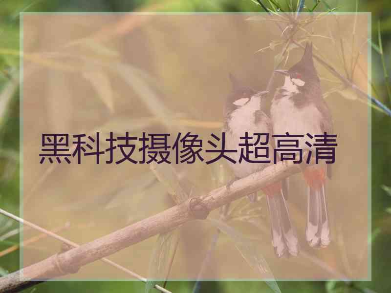 黑科技摄像头超高清