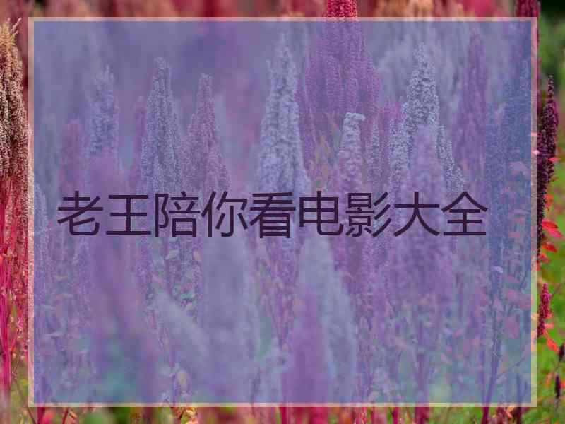 老王陪你看电影大全