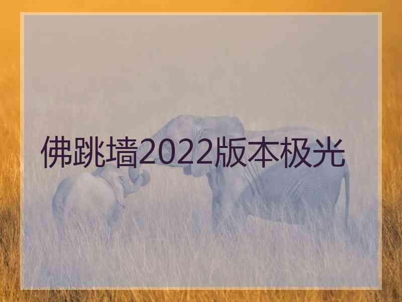 佛跳墙2022版本极光