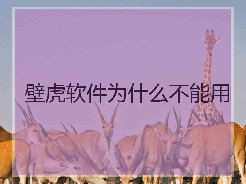 壁虎软件为什么不能用