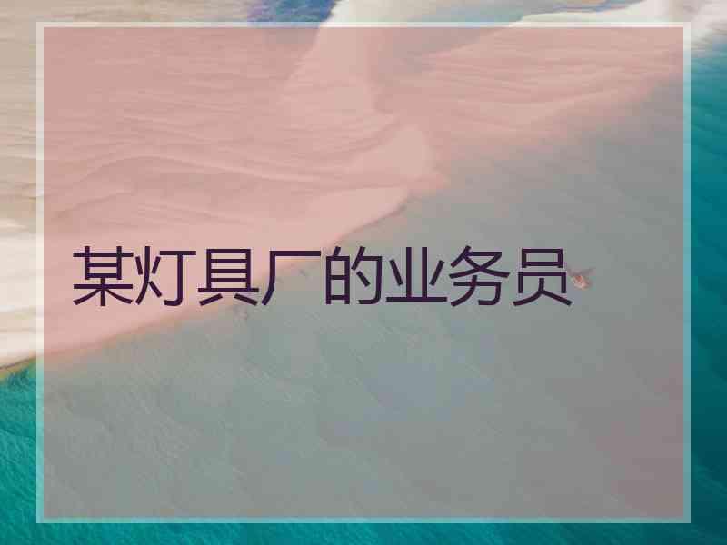 某灯具厂的业务员