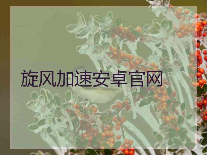 旋风加速安卓官网