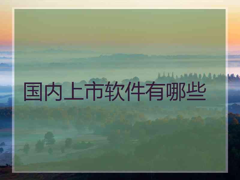 国内上市软件有哪些