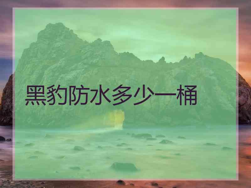 黑豹防水多少一桶