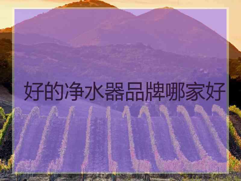 好的净水器品牌哪家好