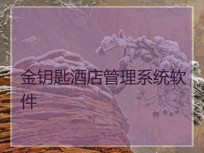 金钥匙酒店管理系统软件