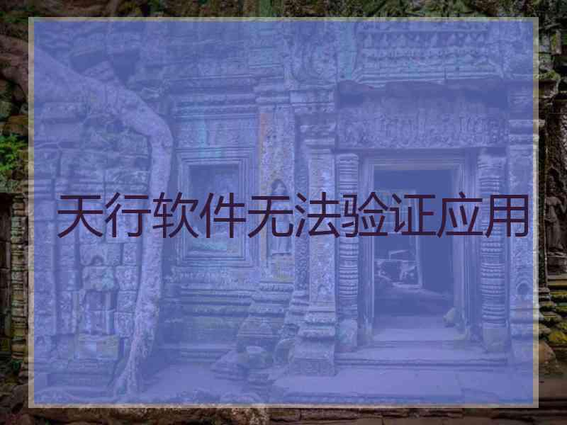 天行软件无法验证应用