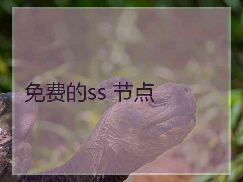 免费的ss 节点