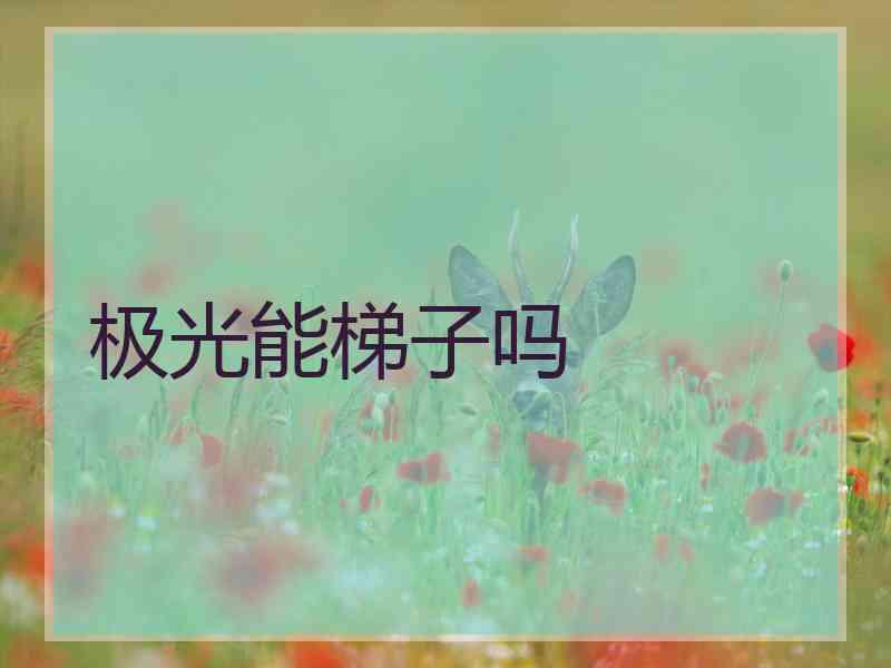 极光能梯子吗