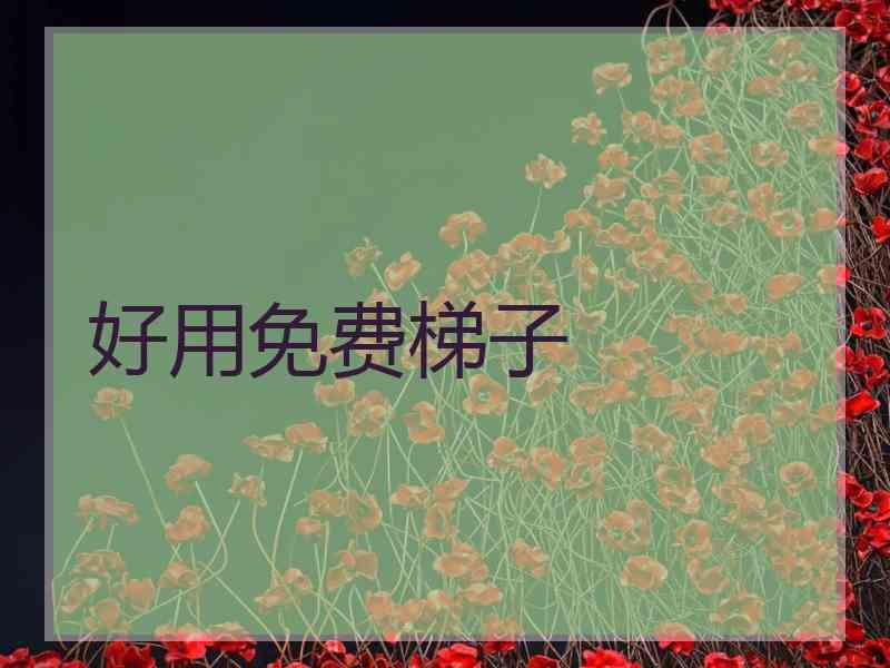 好用免费梯子