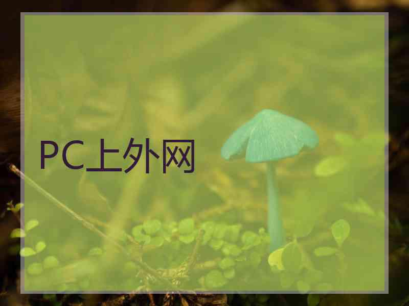 PC上外网