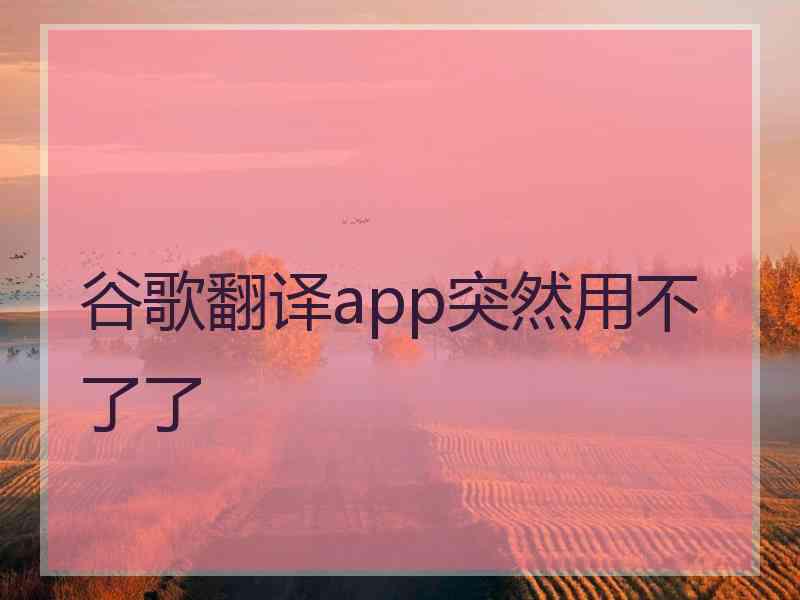 谷歌翻译app突然用不了了