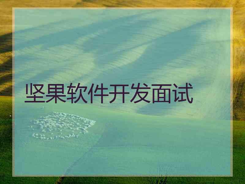坚果软件开发面试
