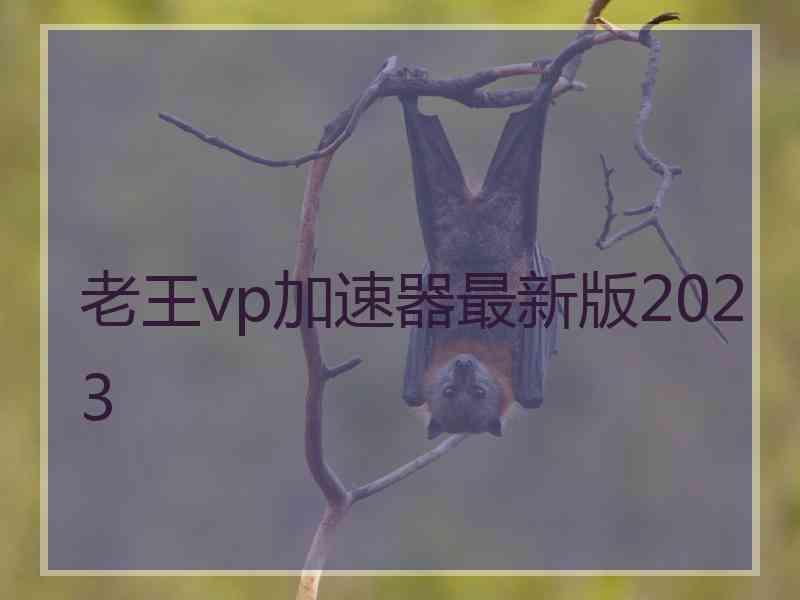 老王vp加速器最新版2023