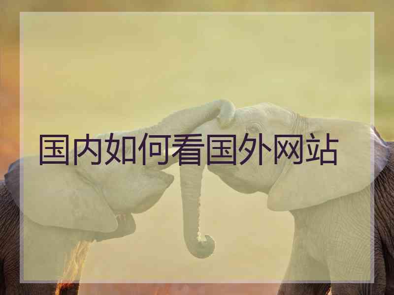 国内如何看国外网站