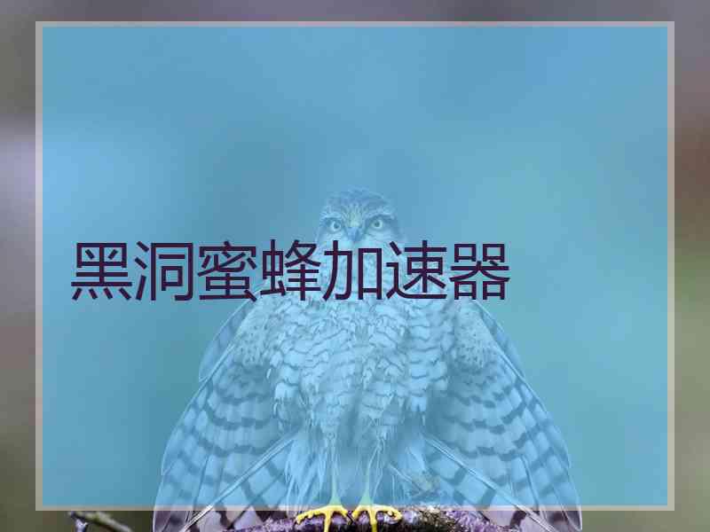 黑洞蜜蜂加速器