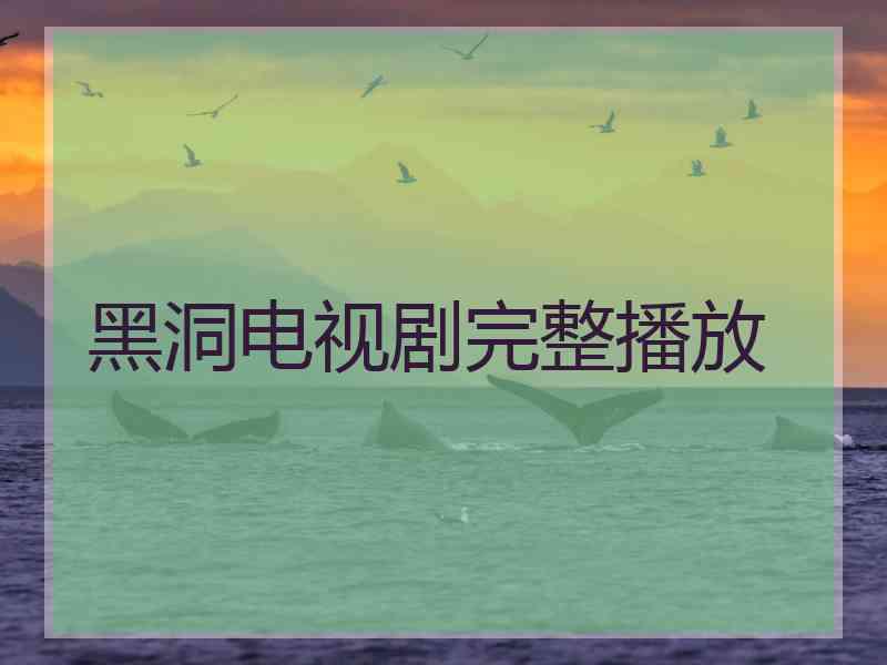 黑洞电视剧完整播放