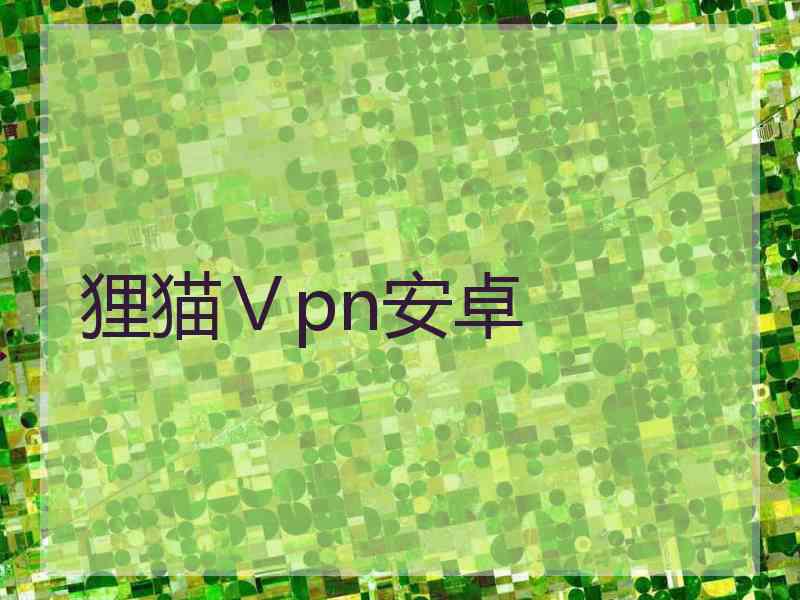 狸猫Ⅴpn安卓