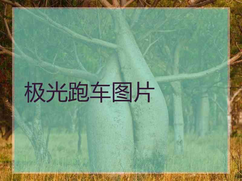 极光跑车图片