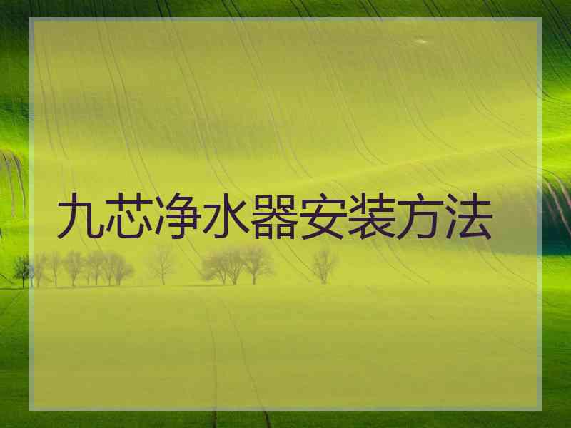 九芯净水器安装方法