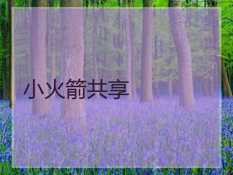 小火箭共享