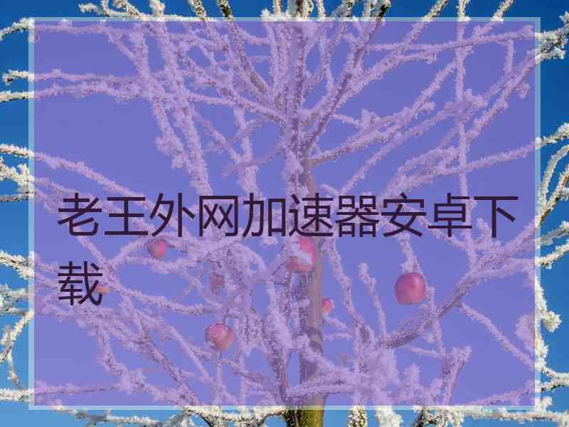 老王外网加速器安卓下载