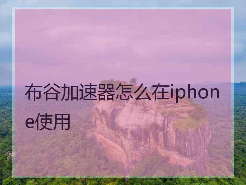 布谷加速器怎么在iphone使用