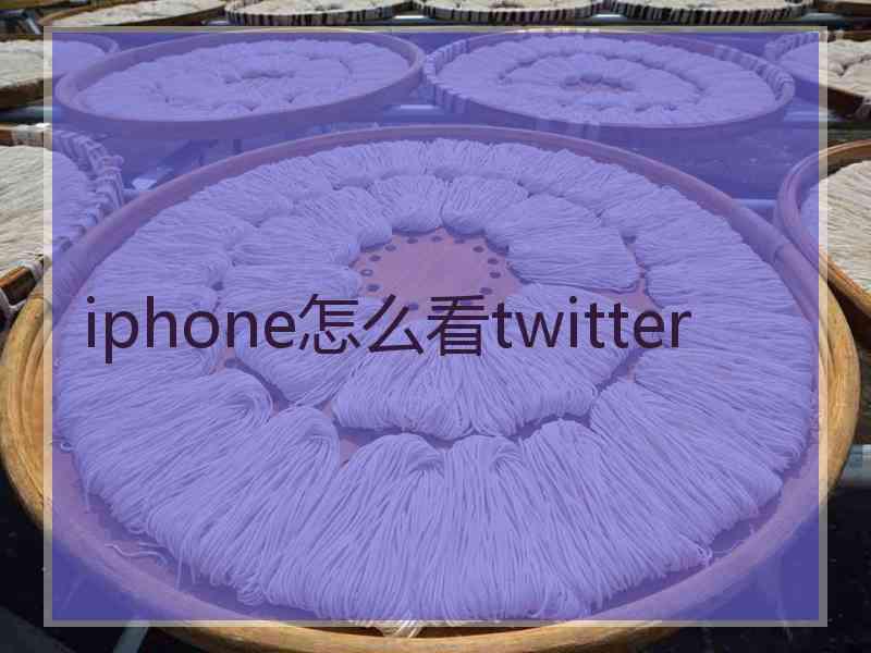 iphone怎么看twitter