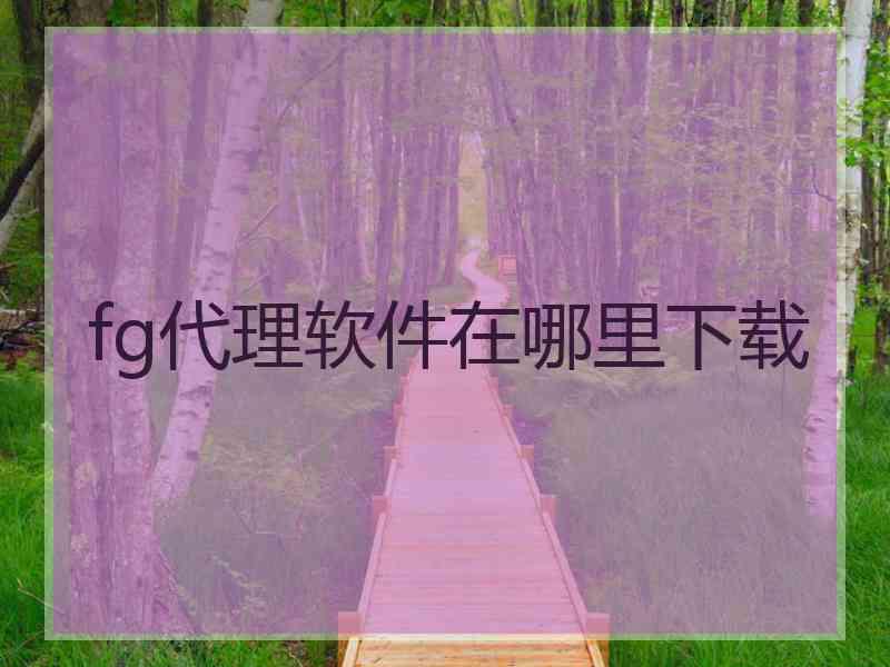 fg代理软件在哪里下载