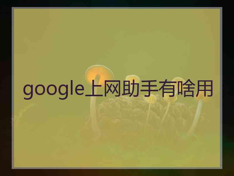 google上网助手有啥用