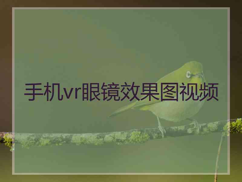 手机vr眼镜效果图视频