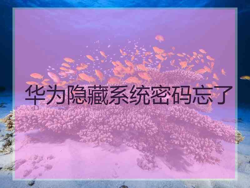 华为隐藏系统密码忘了