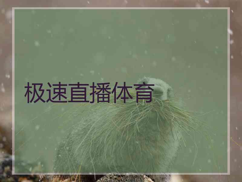 极速直播体育