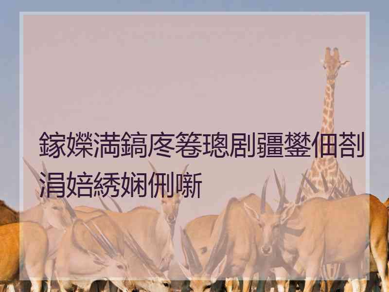 鎵嬫満鎬庝箞璁剧疆鐢佃剳涓婄綉娴侀噺