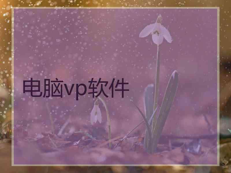 电脑vp软件