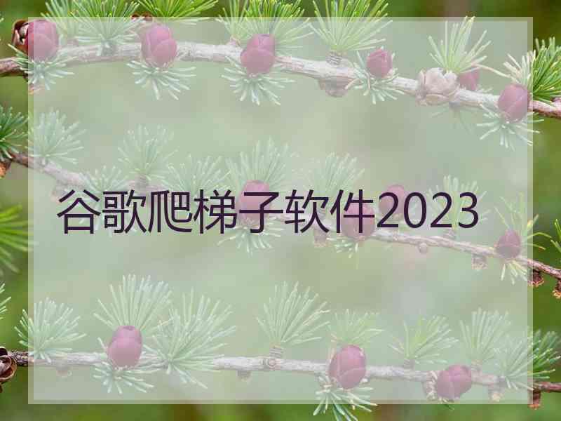 谷歌爬梯子软件2023