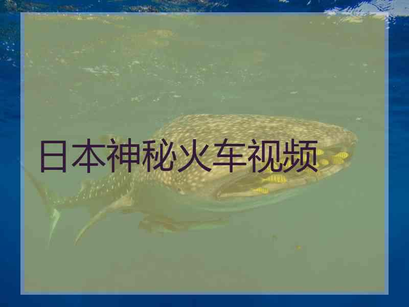 日本神秘火车视频