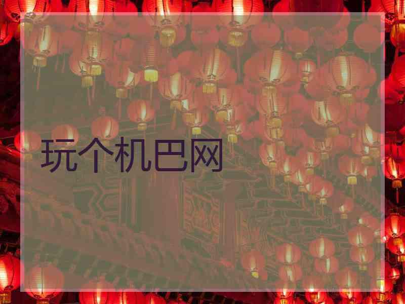 玩个机巴网