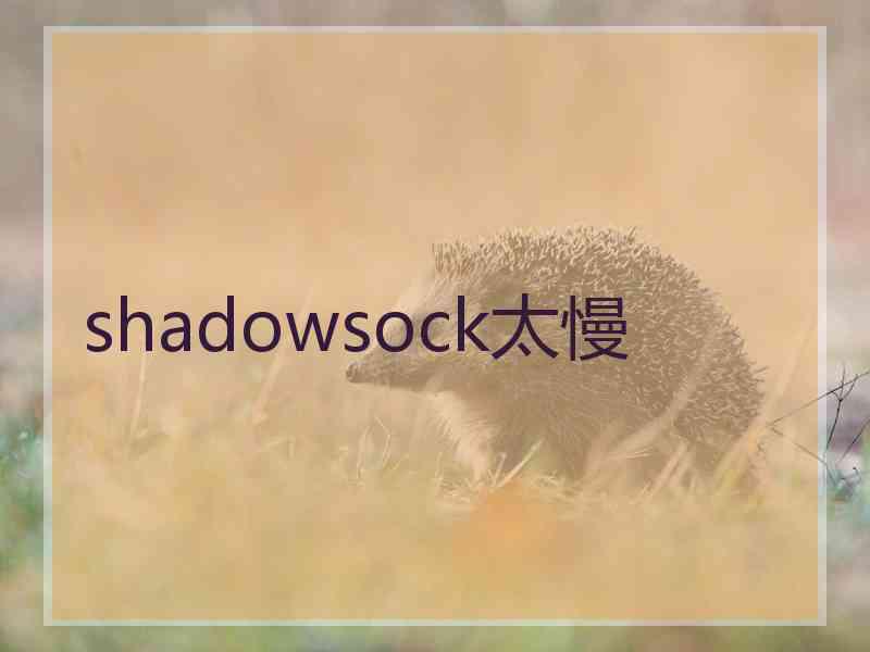 shadowsock太慢