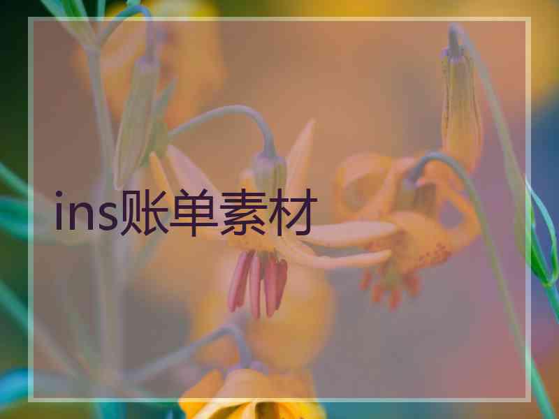 ins账单素材