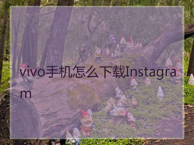 vivo手机怎么下载Instagram