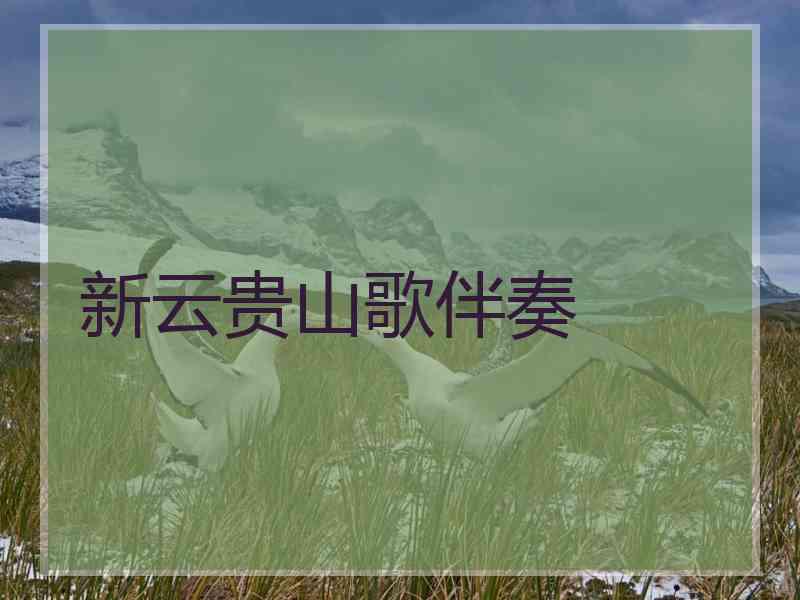 新云贵山歌伴奏