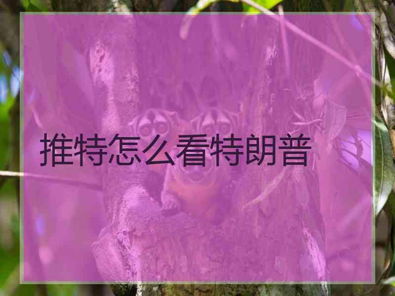 推特怎么看特朗普