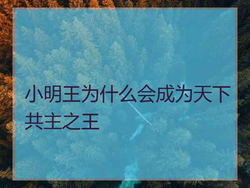 小明王为什么会成为天下共主之王