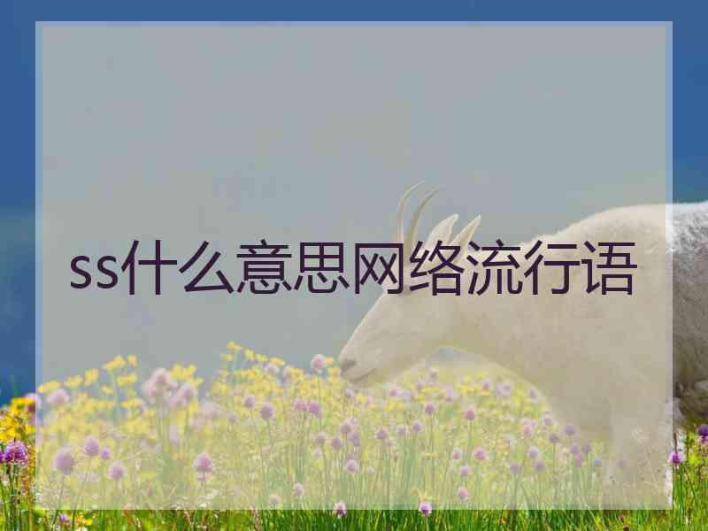ss什么意思网络流行语
