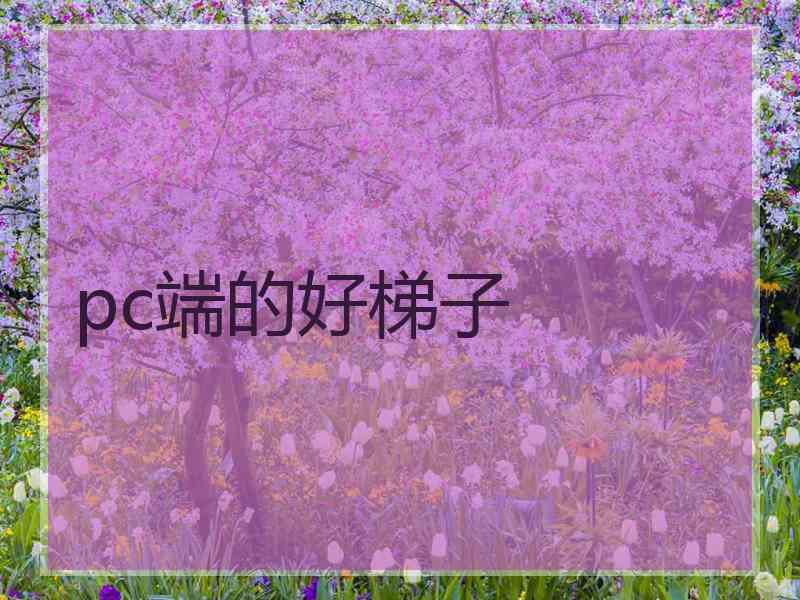pc端的好梯子