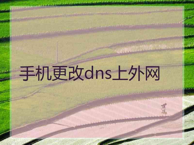 手机更改dns上外网