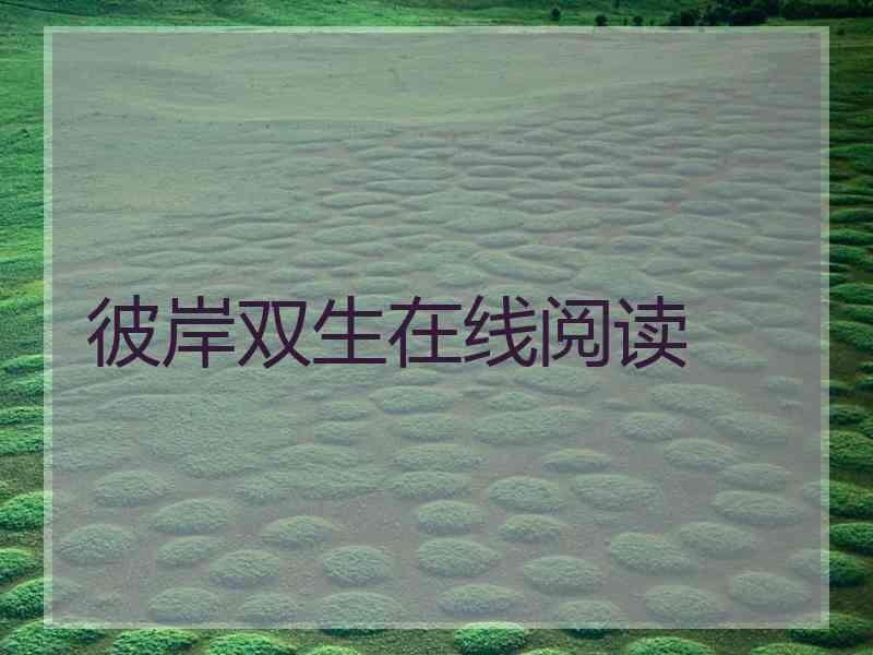 彼岸双生在线阅读