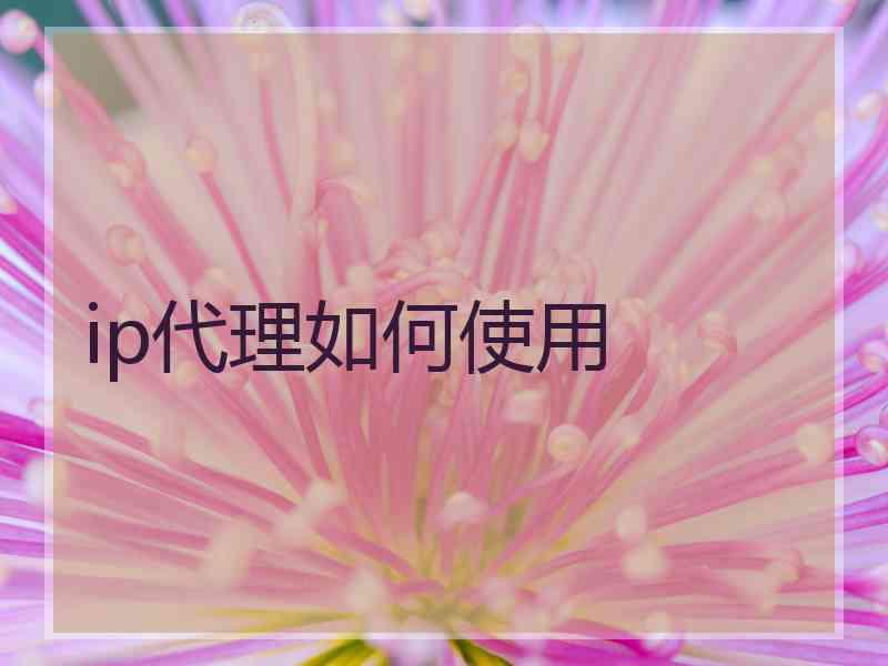 ip代理如何使用