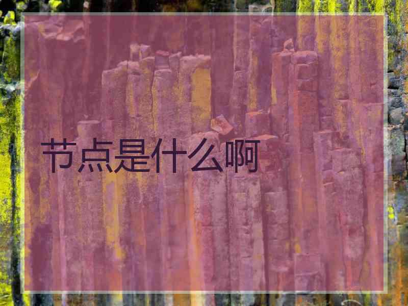 节点是什么啊